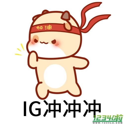 ig是什么意思