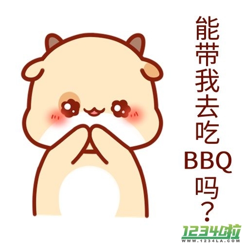 bbq是什么意思