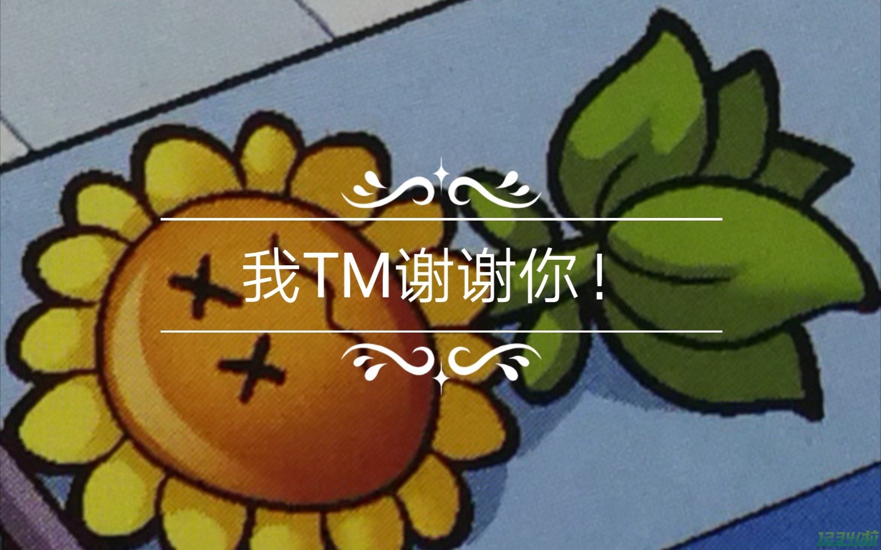 我TM谢谢你