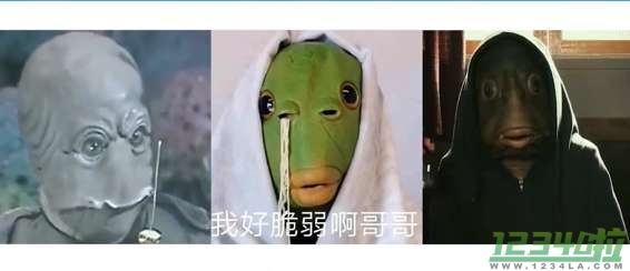 绿头鱼