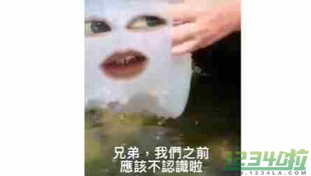 水母迷因